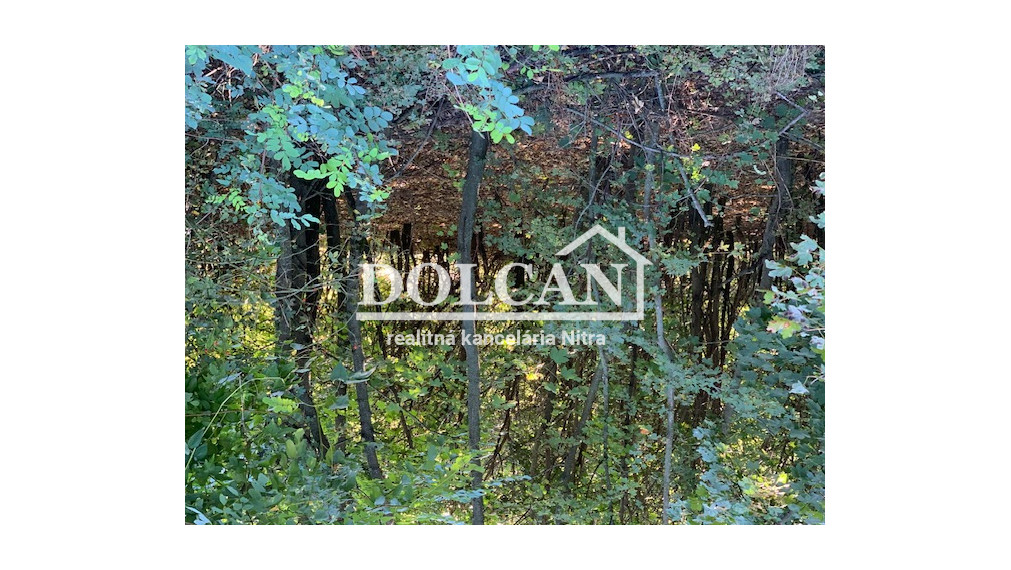Investičný pozemok v obci Dolné Štitáre