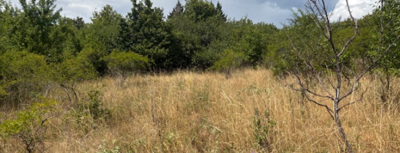 Investičný pozemok Nitrianske Hrnčiarovce