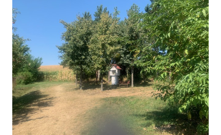 EXKLUZÍVNE veľký slnečný pozemok na výstavbu viacerých rodinných domov Malé Chyndice - fotografia 3