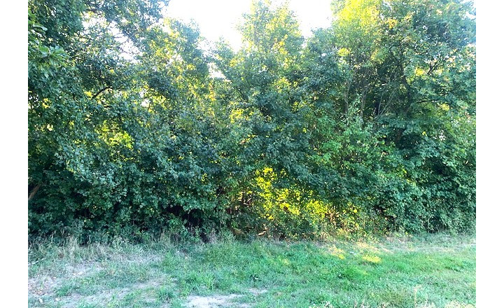 Investičný pozemok v obci Dolné Štitáre - fotografia 2